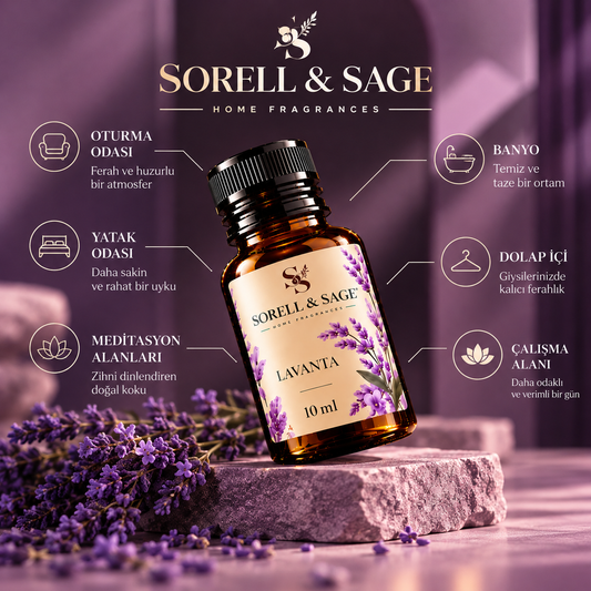 Lavanta — Sakin & Arındırıcı