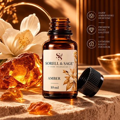 Amber — Derin & Sofistike
