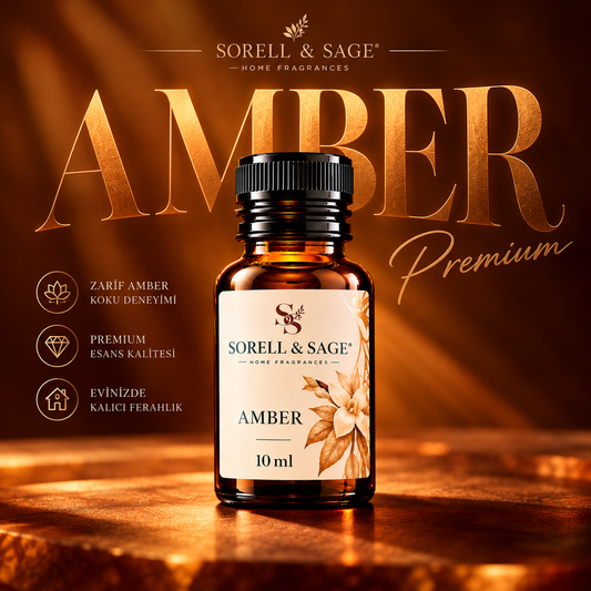 Amber — Derin & Sofistike